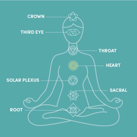 The 7 Chakras for Beginners